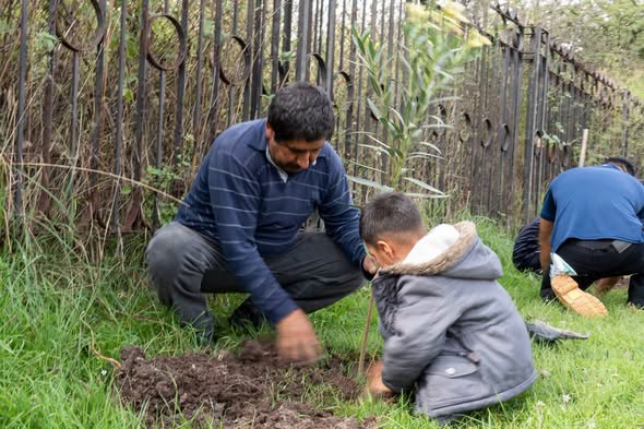 Realizan jornada de reforestación en El Colibrí, en Tepeji del Río