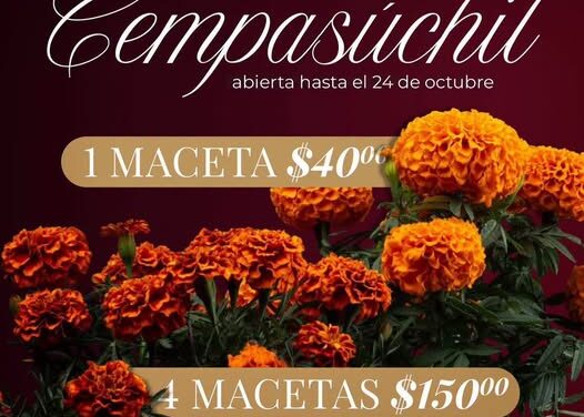 ¡Últimos días para apartar tu cempasúchil en Atotonilco de Tula!
