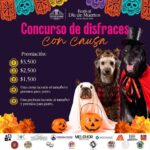 Tula de Allende realizará concurso de disfraces para mascotas con causa