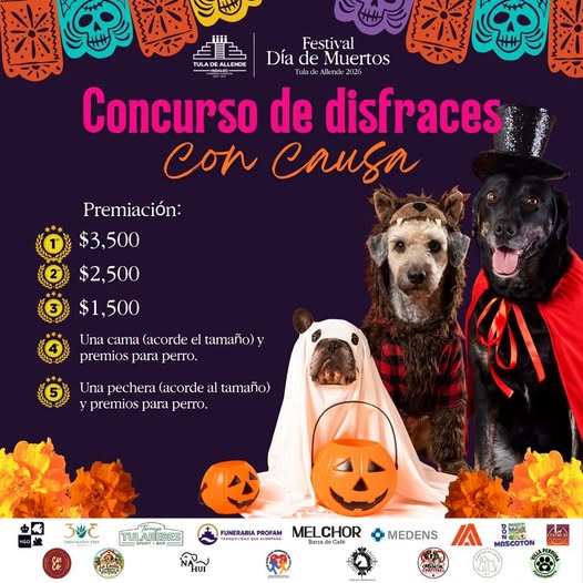 Tula de Allende realizará concurso de disfraces para mascotas con causa
