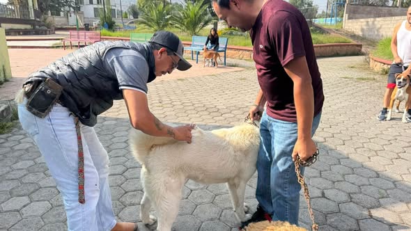 Instalan jornada de vacunación antirrábica para perros y gatos en Boxfi, Atotonilco de Tula